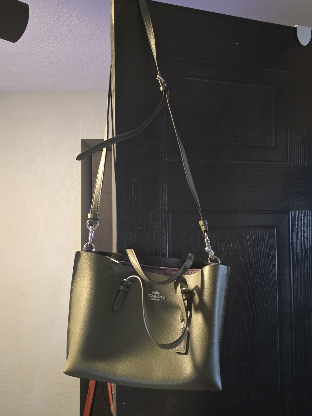 Coach Mollie Tote 25